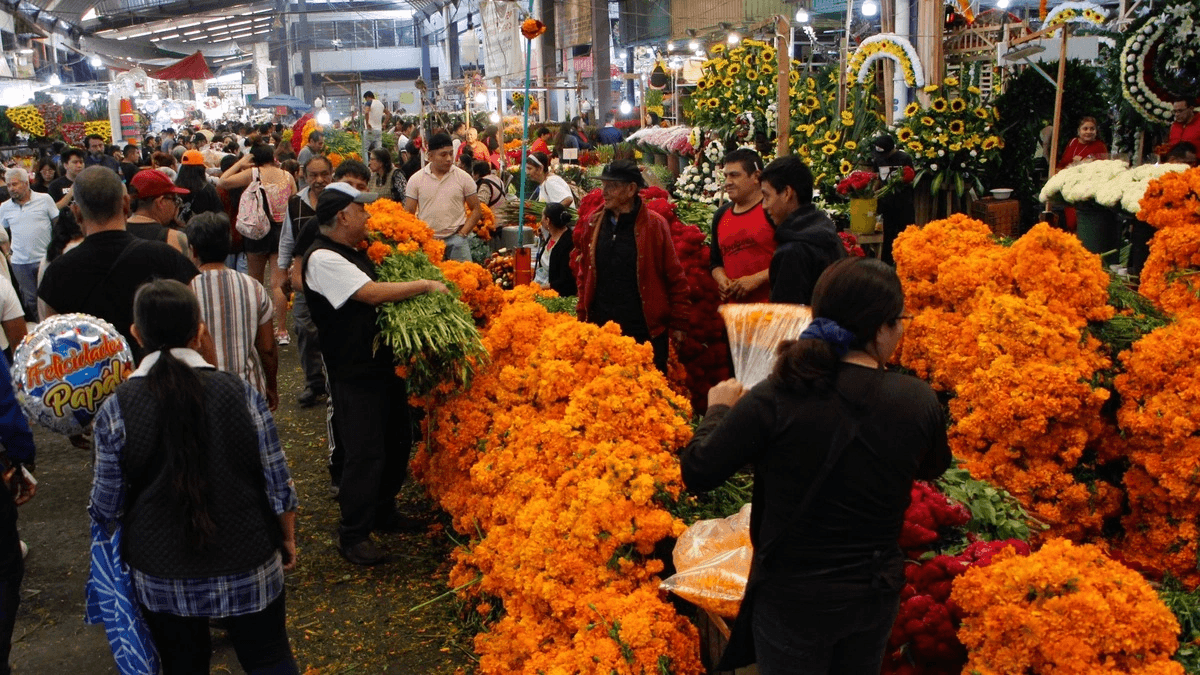 Esperan más de 60 mdp por venta de flor de cempasúchil en Puebla