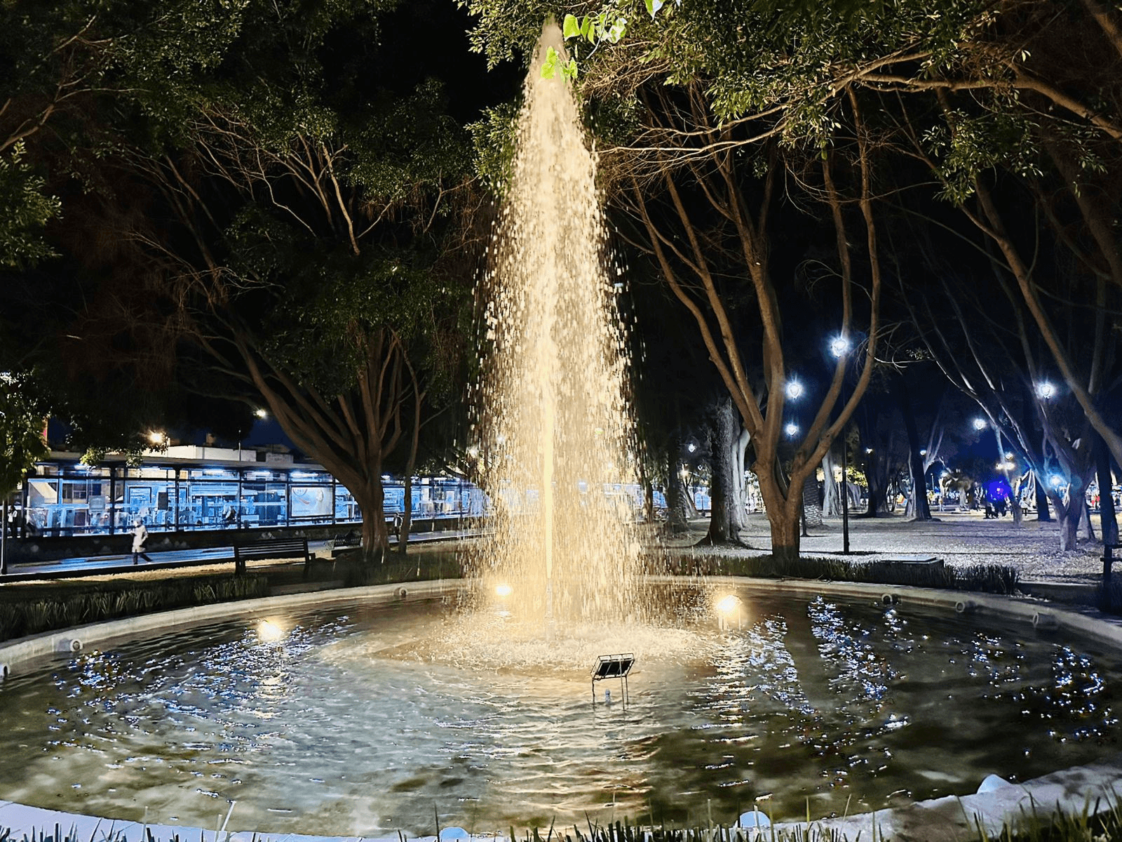 Conmemora Gobierno de la Ciudad Día Mundial en Memoria de las Víctimas del Tránsito