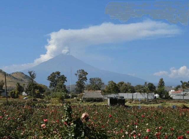 Lanza el Popocatépetl 19 exhalaciones en un día
