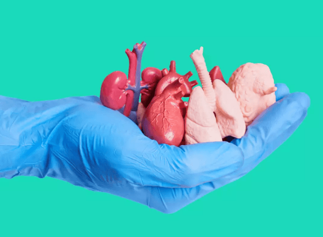 Crece demanda de trasplantes y disminuye la donación de órganos en Puebla