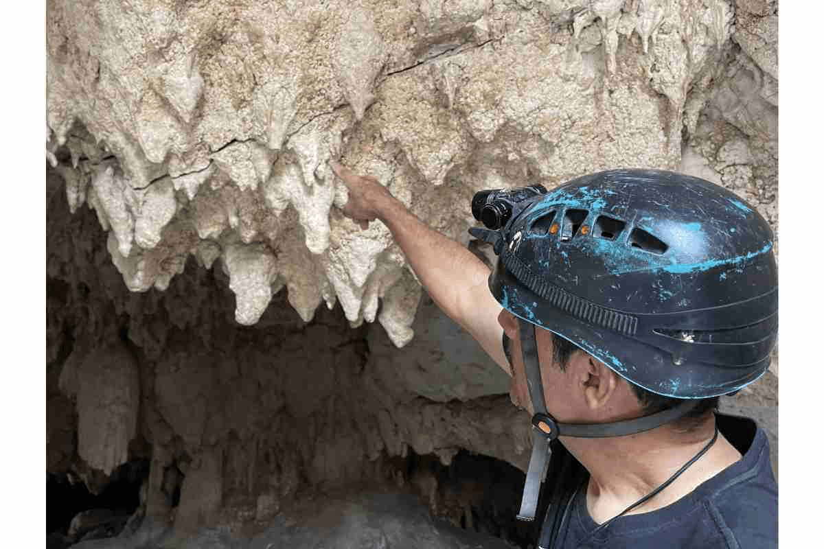 Advierten por riesgo de colapso en Tramo 5 Sur del Tren Maya